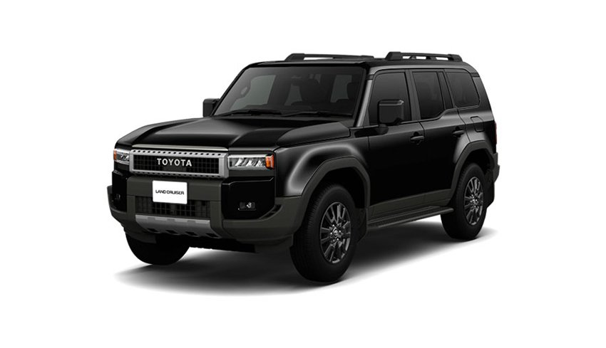 ニュートラルブラック〈229〉